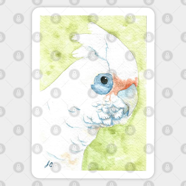 Little corella cockatoo painting - watercolor australian parrot wildlife v2 Sticker by Oranjade0122